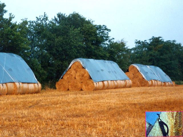 Rainbow's hay bale cover image
